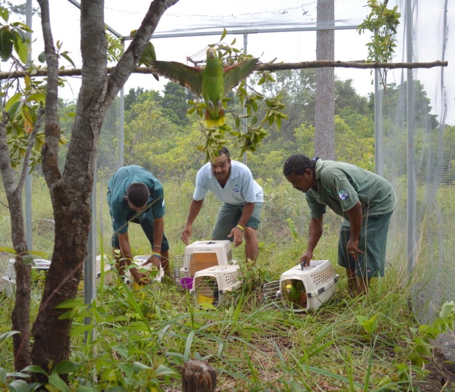 Avian Nursery and Quarantine Facility