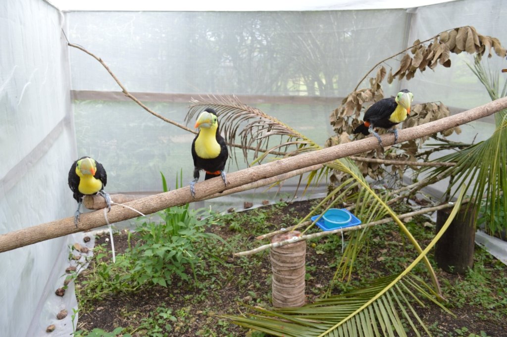 Avian Nursery and Quarantine Facility