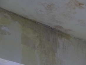 Roof leak