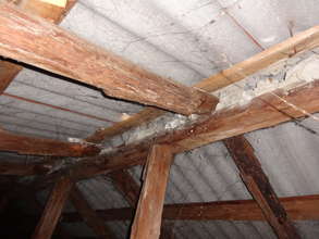 Holes in roof