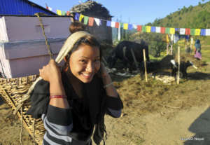 HoneyAID Participant