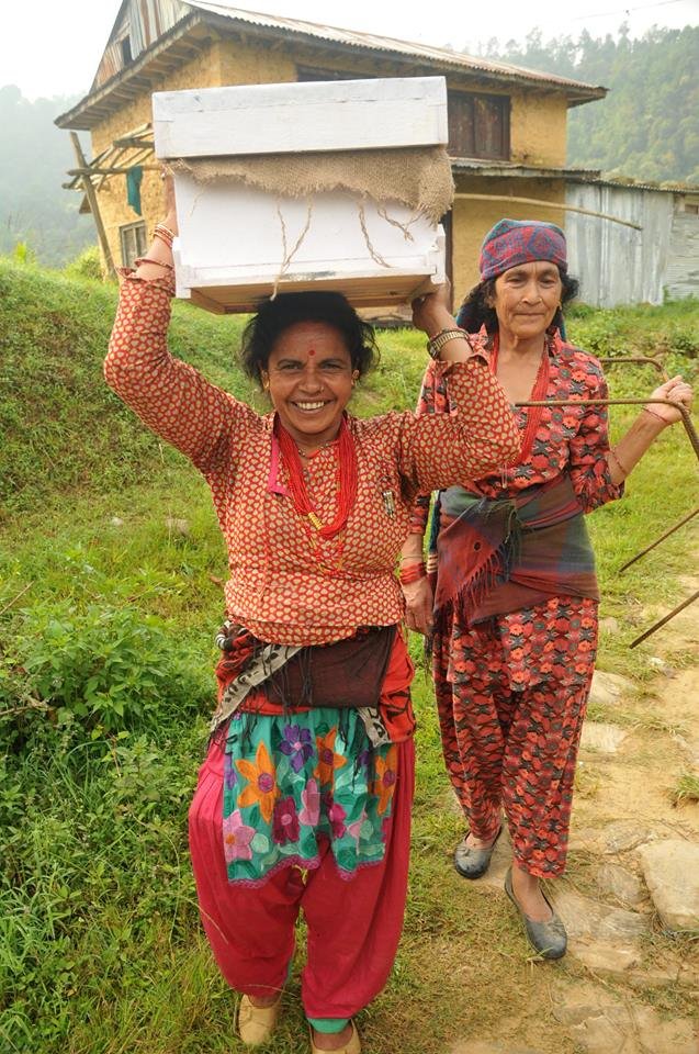 HoneyAID - woman receiving her beehive