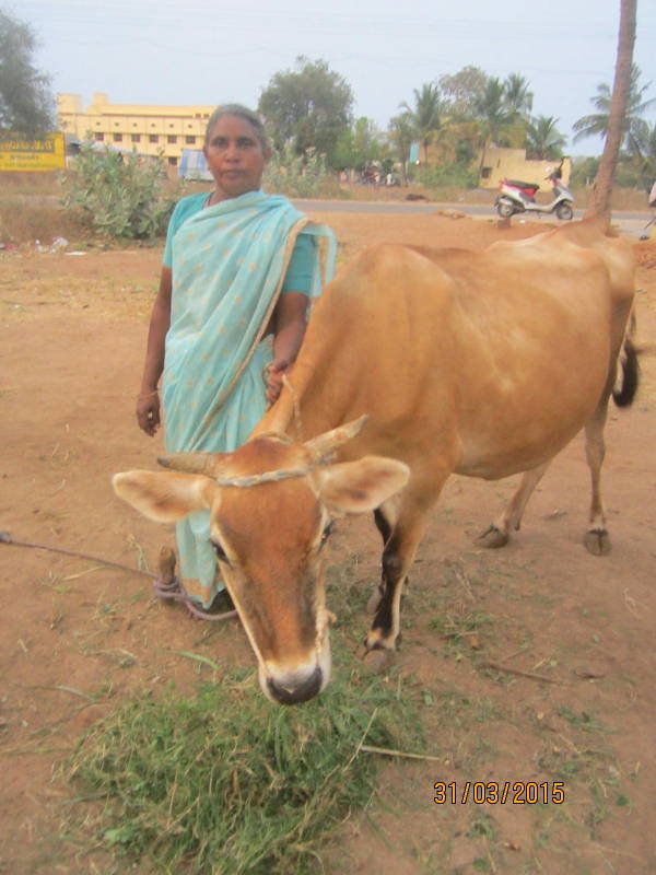 Empower 40 Dalit mothers with a micro-finance loan