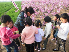 Ms. Sun guides students in the peach orchard.