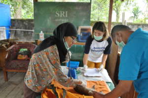 Help save confiscated or injured Sumatran wildlife