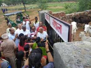 Cow shed inaugaration