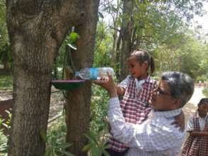 Bird feeders