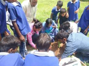 Tree plantation with Blossom Group