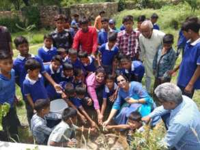 Tree plantation with Blossom Group