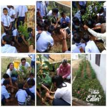 Independence Day Celebration