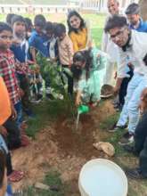Blossom group tree plantation