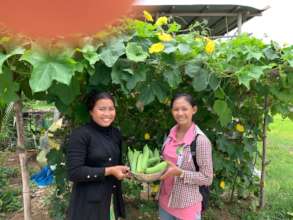 Home garden