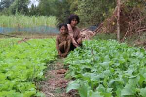 Community Support Program