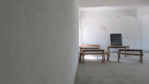 The Library