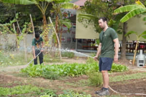 Intern Henry working in the school garden