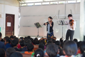 A string instrument performance and demonstration