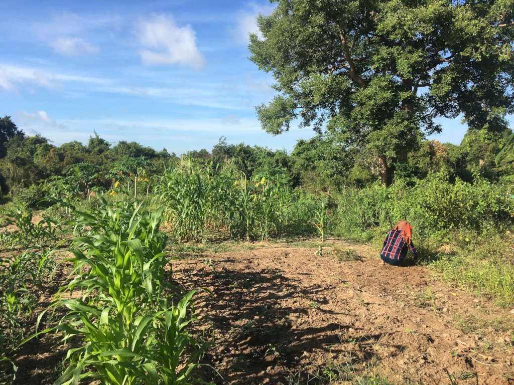 Free education for 300 children in rural Cambodia