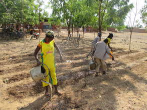 Food growing project