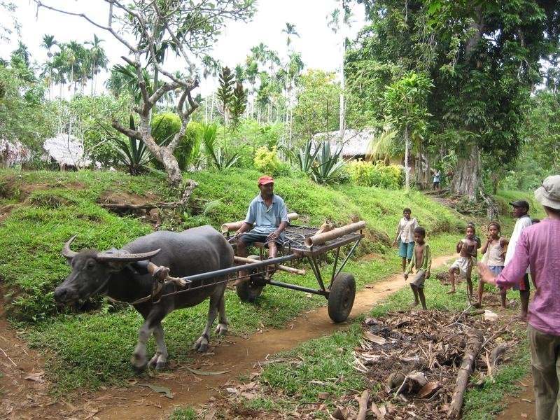 English Language Education in Papua New Guinea - GlobalGiving