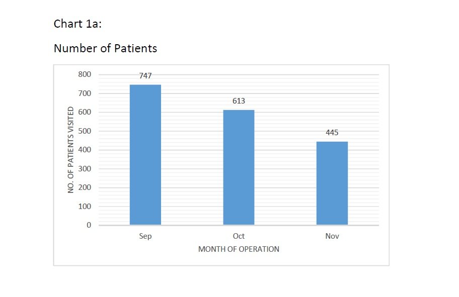 Monthly patient flow report