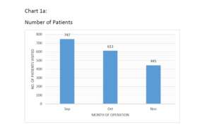 Monthly patient flow report