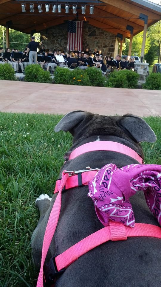 Diseno at the park