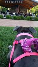 Diseno at the park