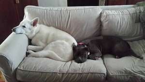 Diseno with her sister Zoe