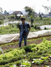 Andre in  the organic produce garden