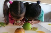 Sponsor 630 Children in Need Through Education