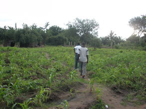 Visiting the demonstration farm in Ando village