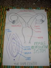 Facilitation Materials