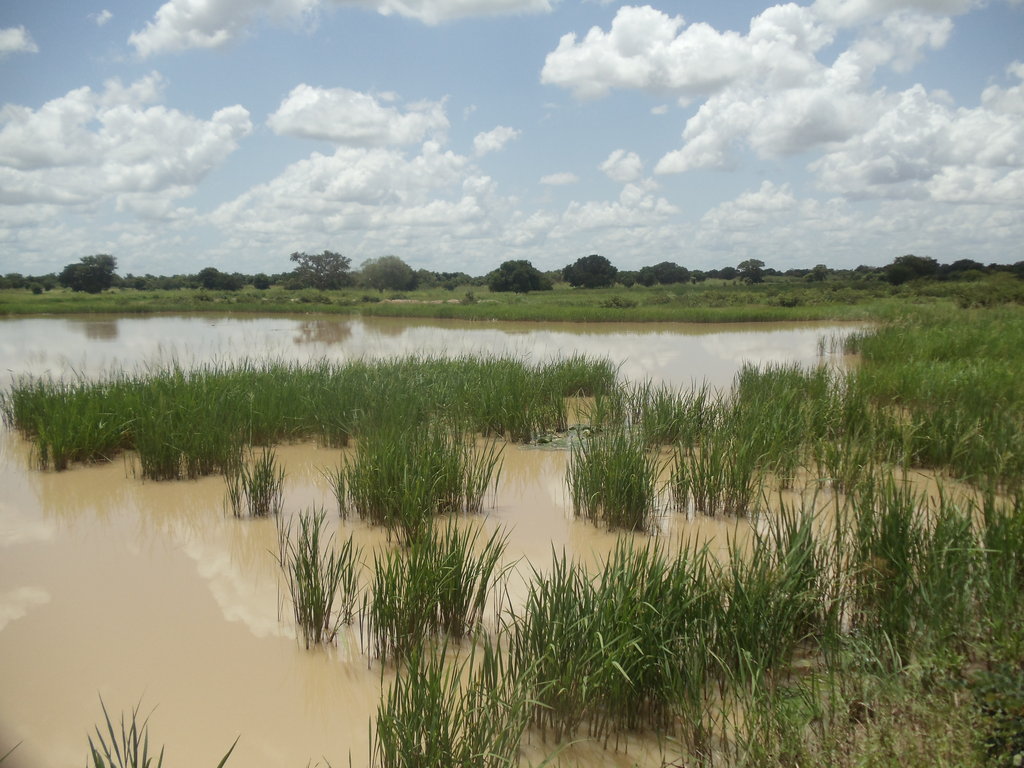 Educate Thousands of Girls with Year-Round Water