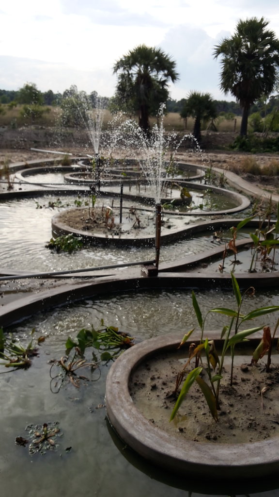 Ponds