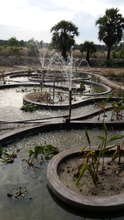 Ponds