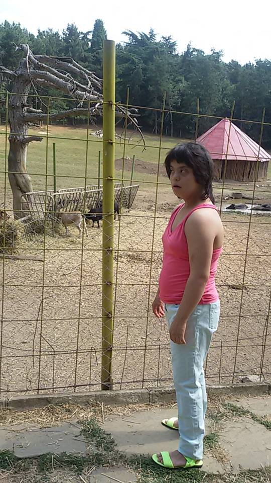 At the Zoo