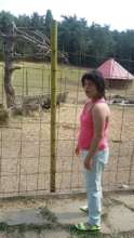 At the Zoo