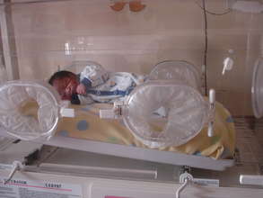 Incubator Arrival