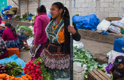 Help 50 child laborers finish grade 6 in Guatemala