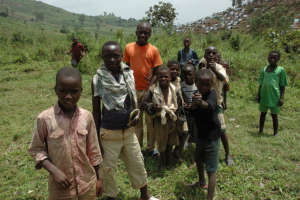 Congolese children. Jullen Harnels