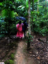 Educators Beginning to Climb the Hill.JPG