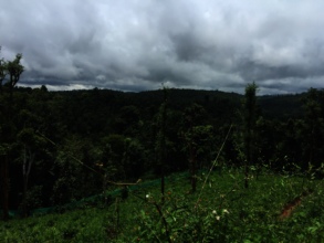 Sreemanthinis Backyard.JPG