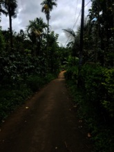 Thin Tar Road to the hamlet.JPG