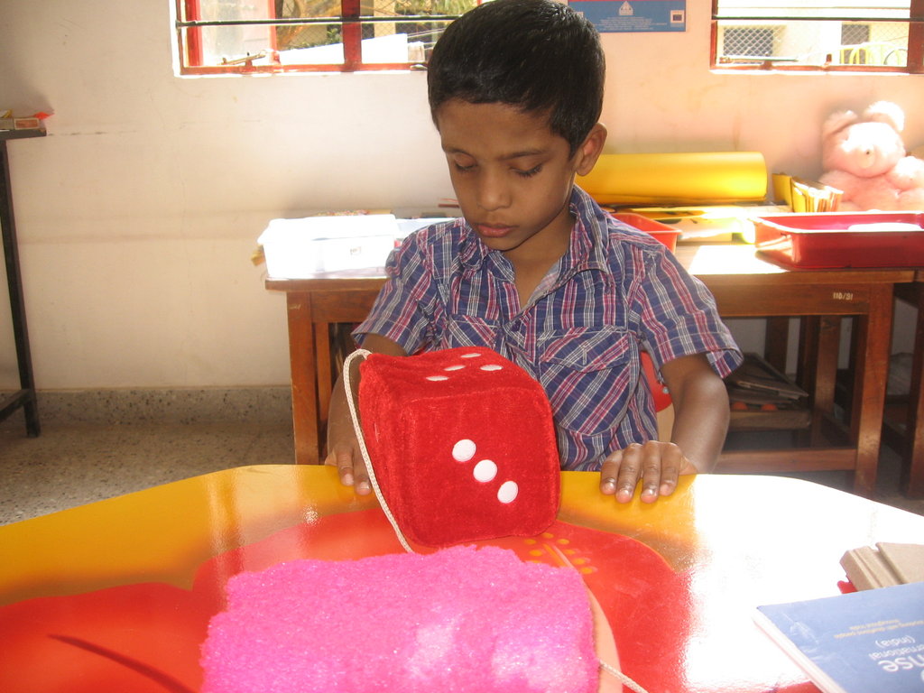 Help Educate 500 Deafblind Children in India
