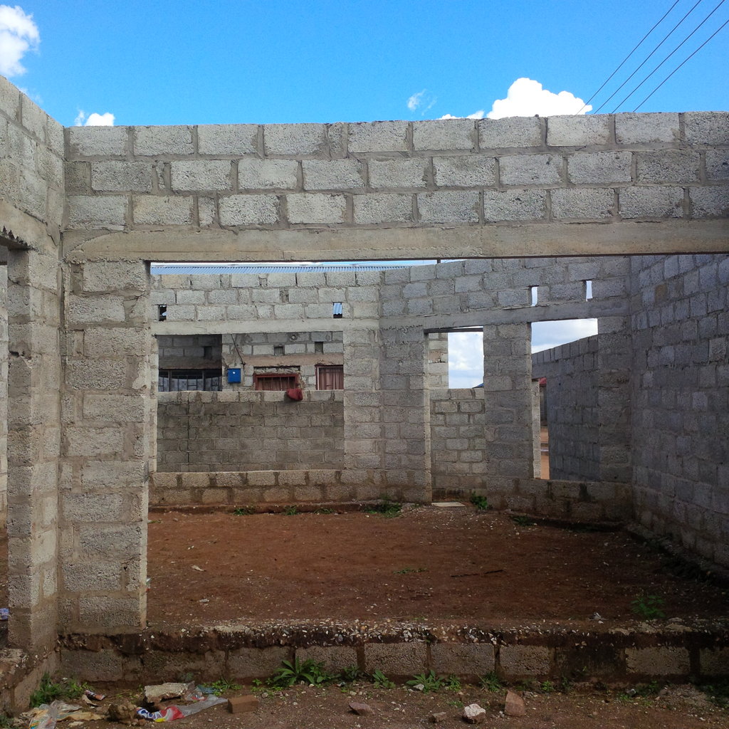 Building a college for natural medicine in Zambia