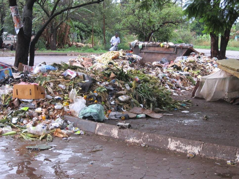 Green Chikoro Schools litter campain GlobalGiving