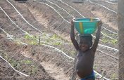 Help Villagers in Benin Access Safe, Clean Water