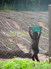 Help Villagers in Benin Access Safe, Clean Water