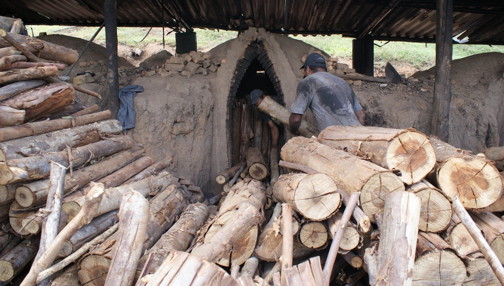 Slavery in Brazil - The voice of those excluded