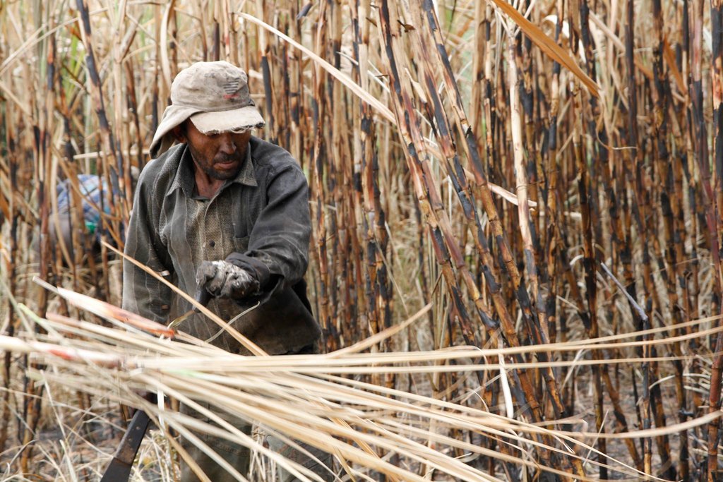 Slavery in Brazil - The voice of those excluded